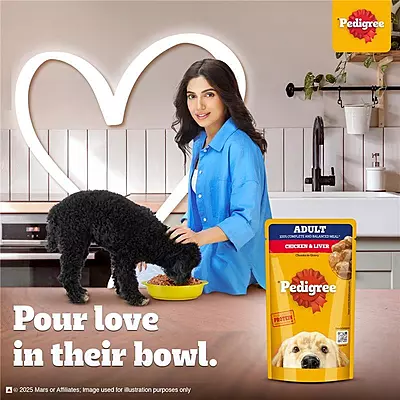 Pedigree Chicken & Liver Chunks in Gravy for Adult Dogs โ 130 g Pedigree Chicken & Liver Chunks in Gravy for Adult Dogs โ 130 g