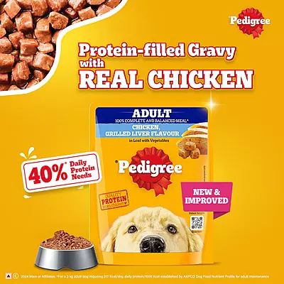 Pedigree Adult Wet Dog Food โ Chicken Grilled Liver in Loaf with Vegetables Pedigree Adult Wet Dog Food โ Chicken Grilled Liver in Loaf with Vegetables