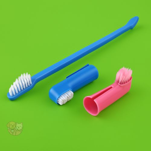 3-in-1 Pet Toothbrush Set โ Double-Head, Finger Brush & Soft Bristle Cleaner for Dogs & Cats 3-in-1 Pet Toothbrush Set โ Double-Head, Finger Brush & Soft Bristle Cleaner for Dogs & Cats