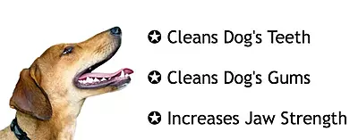 Rubber Teething Spike Ring Chew Toy, 6 inches, Colour May Vary 1PCS Rubber Teething Spike Ring Chew Toy, 6 inches, Colour May Vary 1PCS