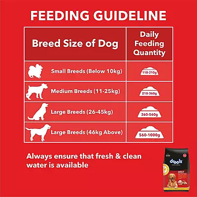 Drools Chicken and Egg Adult Dog Dry Food Drools Chicken and Egg Adult Dog Dry Food