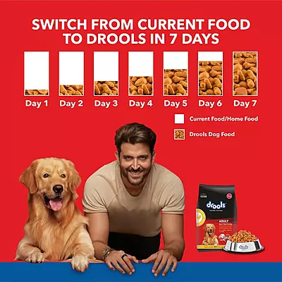 Drools Chicken and Egg Adult Dog Dry Food Drools Chicken and Egg Adult Dog Dry Food