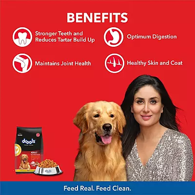 Drools Chicken and Egg Adult Dog Dry Food Drools Chicken and Egg Adult Dog Dry Food