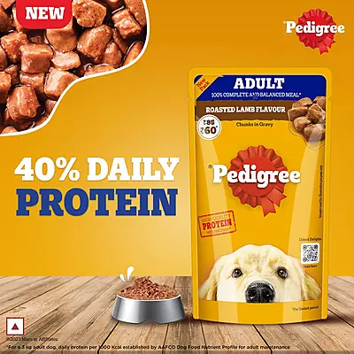 Pedigree Adult Wet Dog Food โ Roasted Lamb Flavor Chunks in Gravy 70g Pedigree Adult Wet Dog Food โ Roasted Lamb Flavor Chunks in Gravy 70g