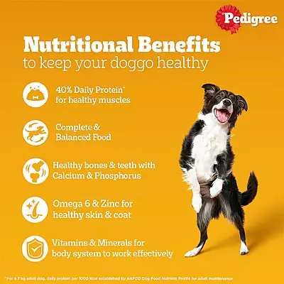 Pedigree Chicken & Liver Chunks in Gravy for Adult Dogs โ 130 g Pedigree Chicken & Liver Chunks in Gravy for Adult Dogs โ 130 g