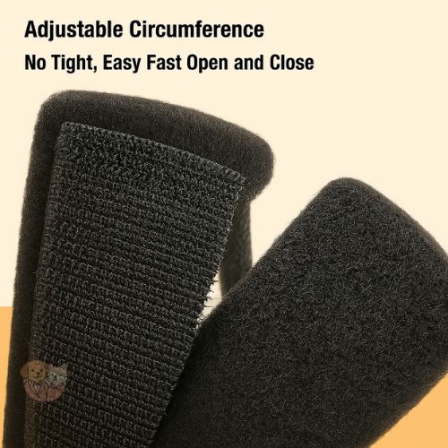 Adjustable Pet Neck Cone Collar 15M โ Protective Recovery Collar for Dogs & Cats Adjustable Pet Neck Cone Collar 15M โ Protective Recovery Collar for Dogs & Cats