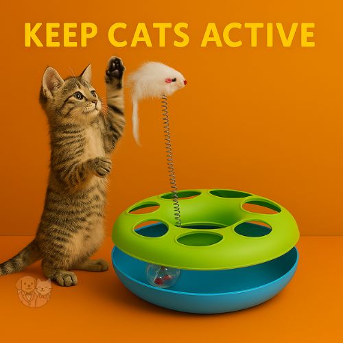 Cat Toy Wheel with Rat – Interactive Rolling Toy for Cats & Kittens