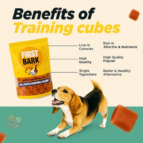 First Bark Chicken Training Cubesโ Dog Treat, 70โฏg First Bark Chicken Training Cubesโ Dog Treat, 70โฏg