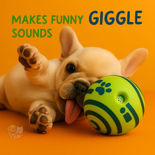 Fun Ball – Big Bouncy Play Ball for Dogs & Puppies