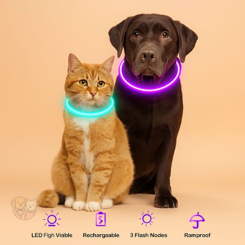 LED Dog Collar – Rechargeable, Glow-in-the-Dark Safety Belt