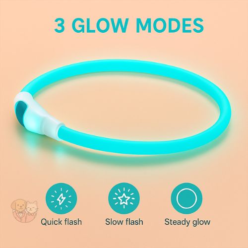 LED Dog Collar – Rechargeable, Glow-in-the-Dark Safety Belt