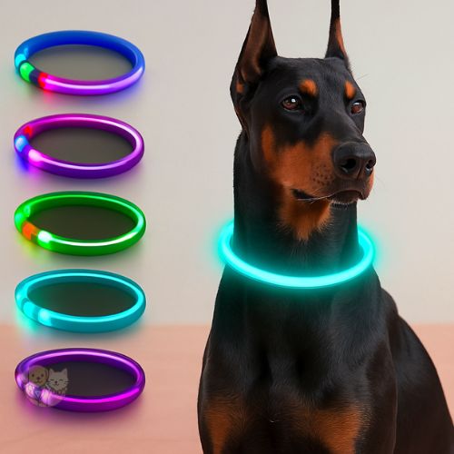 LED Dog Collar – Rechargeable, Glow-in-the-Dark Safety Belt