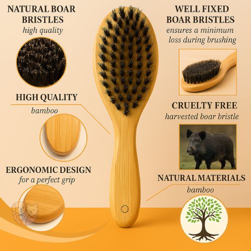 Natural Wood Bristle Brush โ Gentle Grooming for Dogs & Cats Natural Wood Bristle Brush โ Gentle Grooming for Dogs & Cats