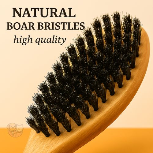 Natural Wood Bristle Brush โ Gentle Grooming for Dogs & Cats Natural Wood Bristle Brush โ Gentle Grooming for Dogs & Cats