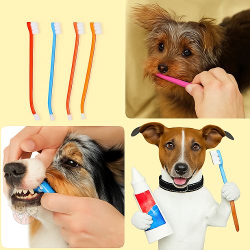 Nunbell Dental Care Kit for Dogs & Puppies – Toothbrush & Mint Toothpaste Set (95g)
