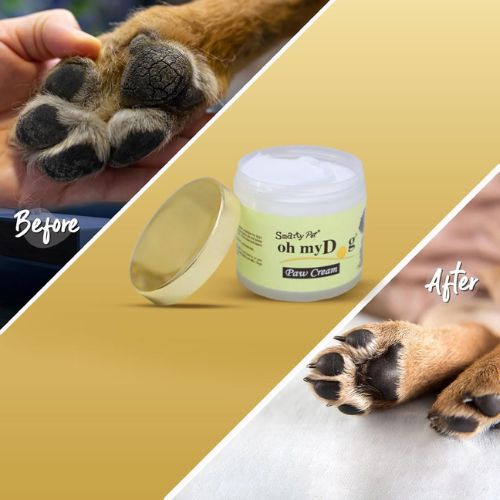 Oh My Dog Paw Cream – Heals, Moisturizes & Softens Dry Paws for Dogs & Cats (100ml)