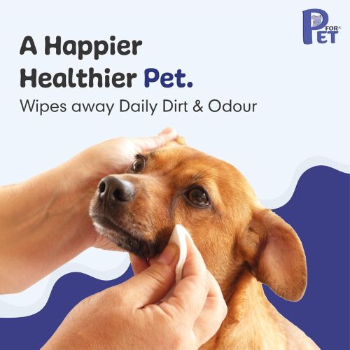 P for PET Grooming Wet Wipes – Antibacterial & Deodorizing Wipes for Dogs, Cats & All Pets (100 pcs)