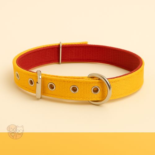 PP Lead Belt collar for Dogs, Durable & Comfortable PP Lead Belt collar for Dogs, Durable & Comfortable