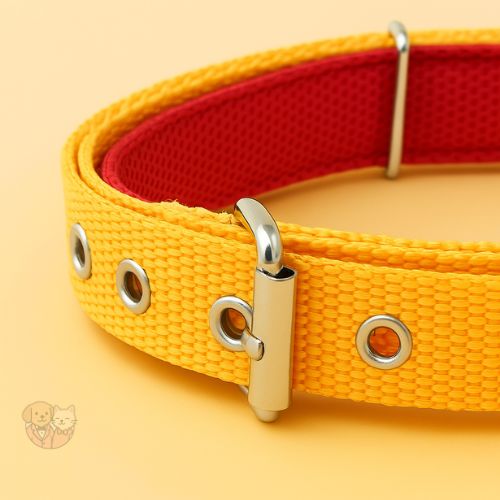 PP Lead Belt collar for Dogs, Durable & Comfortable PP Lead Belt collar for Dogs, Durable & Comfortable