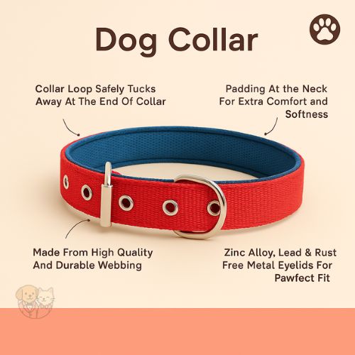 PP Lead Belt collar for Dogs, Durable & Comfortable PP Lead Belt collar for Dogs, Durable & Comfortable
