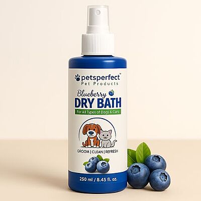 Pets Perfect Blueberry Shampoo โ Gentle Cleansing for Dogs & Cats (200ml) Pets Perfect Blueberry Shampoo โ Gentle Cleansing for Dogs & Cats (200ml)