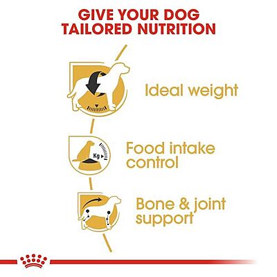 Royal Canin Beagle Adult Dry Dog Food โ Supports Weight, Joint & Food Intake Control Royal Canin Beagle Adult Dry Dog Food โ Supports Weight, Joint & Food Intake Control