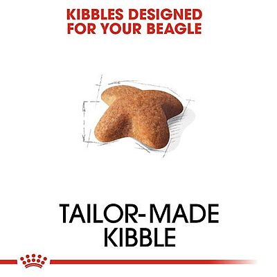 Royal Canin Beagle Adult Dry Dog Food โ Supports Weight, Joint & Food Intake Control Royal Canin Beagle Adult Dry Dog Food โ Supports Weight, Joint & Food Intake Control