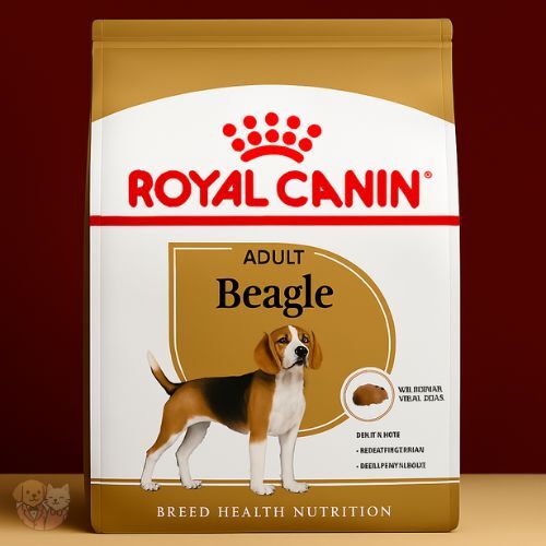 Royal Canin Beagle Adult Dry Dog Food โ Supports Weight, Joint & Food Intake Control Royal Canin Beagle Adult Dry Dog Food โ Supports Weight, Joint & Food Intake Control