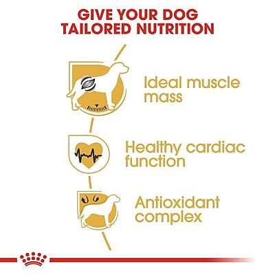 Royal Canin Boxer Adult Dog Food Royal Canin Boxer Adult Dog Food