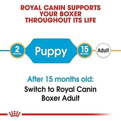 Royal Canin Boxer Puppy Dry Food โ Tailored Nutrition for Growing Boxers Royal Canin Boxer Puppy Dry Food โ Tailored Nutrition for Growing Boxers
