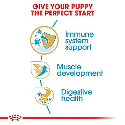 Royal Canin Boxer Puppy Dry Food โ Tailored Nutrition for Growing Boxers Royal Canin Boxer Puppy Dry Food โ Tailored Nutrition for Growing Boxers