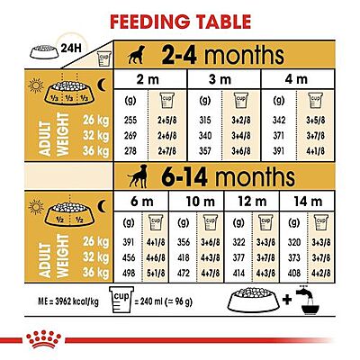 Royal Canin Boxer Puppy Dry Food โ Tailored Nutrition for Growing Boxers Royal Canin Boxer Puppy Dry Food โ Tailored Nutrition for Growing Boxers