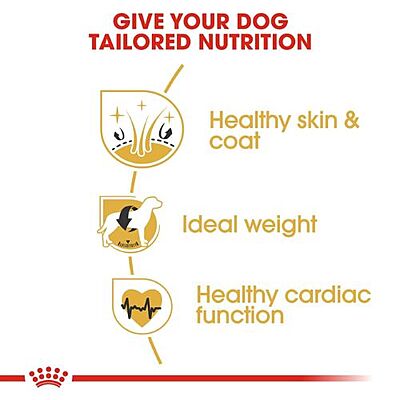 Royal Canin Cocker Adult Dog Food โ Tailor-Made Nutrition for Cocker Spaniels (Dry Food) Royal Canin Cocker Adult Dog Food โ Tailor-Made Nutrition for Cocker Spaniels (Dry Food)