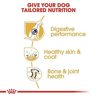 Royal Canin German Shepherd Adult Dry Dog Food โ Breed-Specific Nutrition for German Shepherds Royal Canin German Shepherd Adult Dry Dog Food โ Breed-Specific Nutrition for German Shepherds