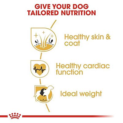 Royal Canin Golden Retriever Adult Dog Food โ Breed-Specific Nutrition for Golden Retrievers Royal Canin Golden Retriever Adult Dog Food โ Breed-Specific Nutrition for Golden Retrievers
