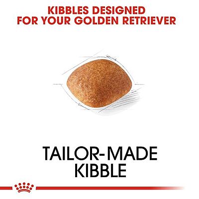 Royal Canin Golden Retriever Adult Dog Food โ Breed-Specific Nutrition for Golden Retrievers Royal Canin Golden Retriever Adult Dog Food โ Breed-Specific Nutrition for Golden Retrievers