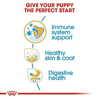 Royal Canin Golden Retriever Puppy Dry Food Royal Canin Golden Retriever Puppy Dry Food