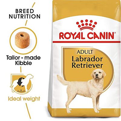 Royal Canin Labrador Retriever Adult Dog Food โ Tailored Nutrition for Your Purebred Lab Royal Canin Labrador Retriever Adult Dog Food โ Tailored Nutrition for Your Purebred Lab