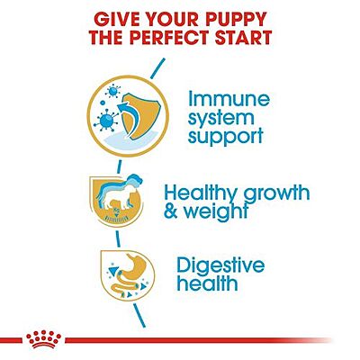 Royal Canin Labrador Retriever Puppy Food โ Supports Healthy Growth & Immune System Royal Canin Labrador Retriever Puppy Food โ Supports Healthy Growth & Immune System