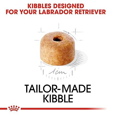 Royal Canin Labrador Retriever Adult Dog Food โ Tailored Nutrition for Your Purebred Lab Royal Canin Labrador Retriever Adult Dog Food โ Tailored Nutrition for Your Purebred Lab
