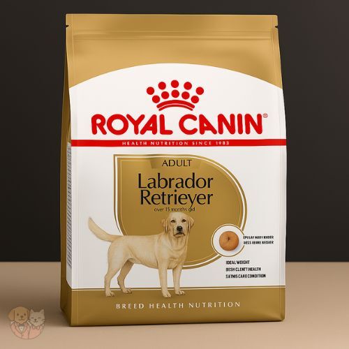 Royal Canin Labrador Retriever Adult Dog Food โ Tailored Nutrition for Your Purebred Lab Royal Canin Labrador Retriever Adult Dog Food โ Tailored Nutrition for Your Purebred Lab