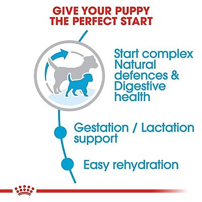 Royal Canin Mini Starter Mother & Babydog Dry Food Royal Canin Mini Starter Mother & Babydog Dry Food