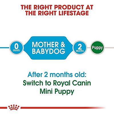 Royal Canin Mini Starter Mother & Babydog Dry Food Royal Canin Mini Starter Mother & Babydog Dry Food