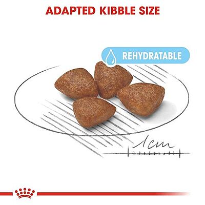 Royal Canin Mini Starter Mother & Babydog Dry Food Royal Canin Mini Starter Mother & Babydog Dry Food