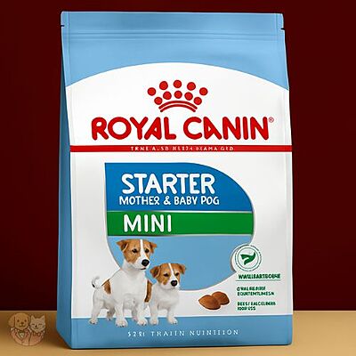 Royal Canin Mini Starter Mother & Babydog Dry Food Royal Canin Mini Starter Mother & Babydog Dry Food