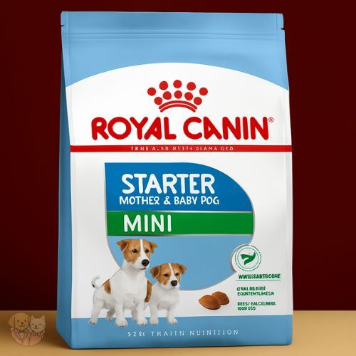 Royal Canin Mini Starter Mother & Babydog Dry Food Royal Canin Mini Starter Mother & Babydog Dry Food