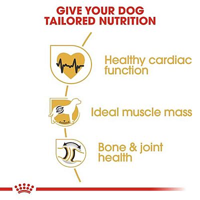 Royal Canin Rottweiler Adult Dog Food โ Tailor-Made Nutrition for Purebred Rottweilers (Pellet Form) Royal Canin Rottweiler Adult Dog Food โ Tailor-Made Nutrition for Purebred Rottweilers (Pellet Form)