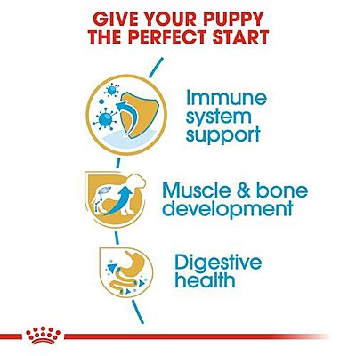 Royal Canin Rottweiler Puppy Dry Food โ Tailored Nutrition for Large Breed Puppies Royal Canin Rottweiler Puppy Dry Food โ Tailored Nutrition for Large Breed Puppies
