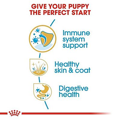 Royal Canin Shih Tzu Puppy Dry Food โ Tailored Nutrition for Healthy Growth Royal Canin Shih Tzu Puppy Dry Food โ Tailored Nutrition for Healthy Growth