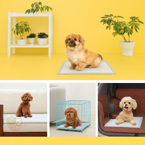 Smarty Pet Training Pads – Leak-Proof, Fresh Scented Pads for Dogs & Puppies (50 pcs, 45×60 cm)